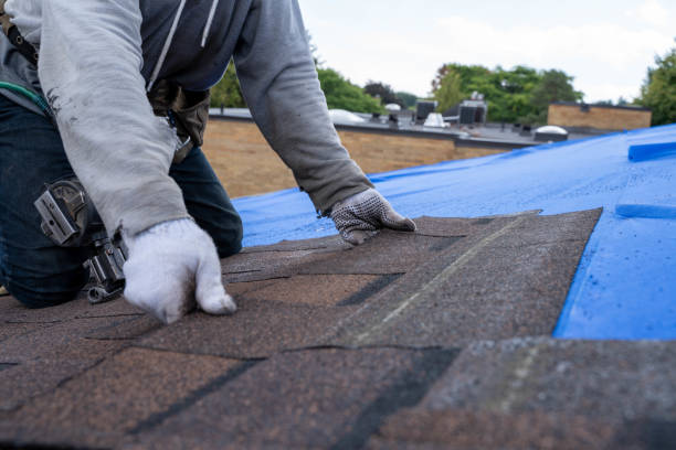 Best Roof Leak Repair  in Smackover, AR