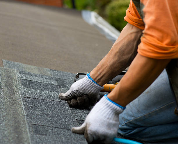 Best Roof Repair Services  in Smackover, AR
